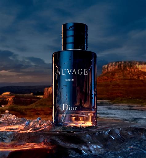 what is the most popular dior sauvage|Dior Sauvage zara dupe.